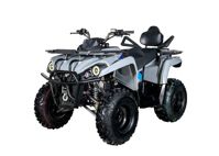 купить Квадроцикл AVANTIS Forester Long 200 Premium в Москве - фото 