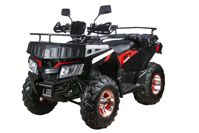 купить Квадроцикл RATO 200 Classic F в Москве - фото 