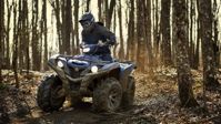 купить Квадроцикл YAMAHA Grizzly 700 EPS STD (ПСМ) в Москве - фото 