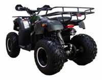 купить Квадроцикл ATV Classic 200 Lux в Москве - фото 