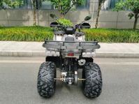 купить Квадроцикл MOTAX ATV Grizlik T200 Lux Б/У в Москве - фото 