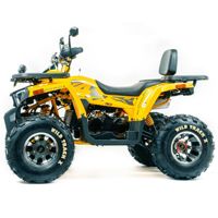 купить Квадроцикл MOTOLAND 200 Wild Track X Pro (Баланс. вал) (2021 Г.) в Москве - фото 