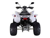 купить Квадроцикл RATO RТ250SТ-2 в Москве - фото 