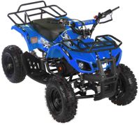 купить Квадроцикл MOTAX ATV Mini Grizlik X-16 в Москве - фото 