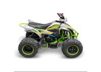 купить Квадроцикл YACOTA Typhoon 250 в Москве - фото 