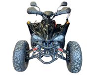 купить Квадроцикл MOTORHEAD RockIt 200 в Москве - фото 