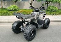 купить Квадроцикл MOTAX ATV Grizlik T200 Lux Б/У в Москве - фото 