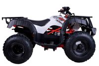 купить Квадроцикл KAYO AU150 в Москве - фото 