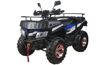 купить Квадроцикл RATO 200 Simple в Москве - фото 