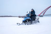 купить Снегоход SHARMAX SN-210 Forester Classic в Москве - фото 