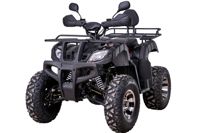 купить Квадроцикл YACOTA Sela 200 Pro в Москве - фото 