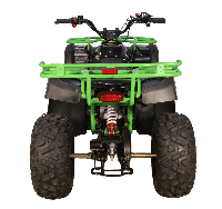 купить Квадроцикл AVANTIS Hunter 200 (Баланс. вал) в Москве - фото 