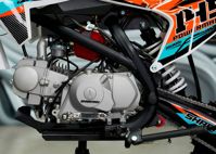 купить Мотоцикл питбайк SHARMAX MOTORS PowerMax 145 MIAMI в Москве - фото 