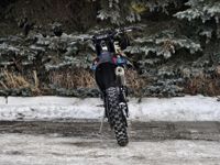 купить Мотоцикл кроссовый эндуро FIDELIS King CB300RL (175FMN) в Москве - фото 