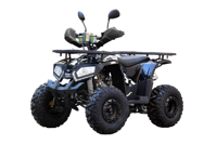купить Квадроцикл UNIVERSAL ATV 125 TM Fusion в Москве - фото 