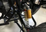 купить Квадроцикл RAPTOR Max Pro 250 (жёлтый/чёрный) (2024) в Москве - фото 