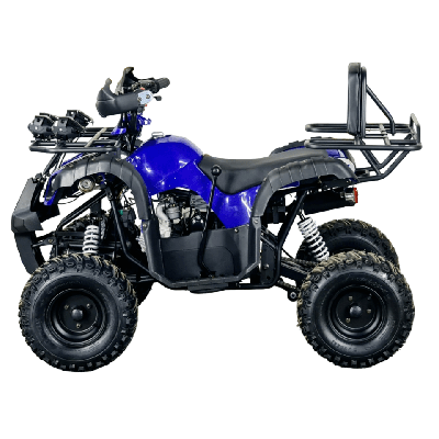 купить Квадроцикл STALKER 125 в Москве - фото 