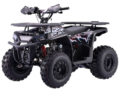 Квадроцикл BSE XT-1U Black в Москве