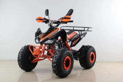 купить Квадроцикл MOTAX ATV T-Rex Super LUX 50 cc в Москве - фото 