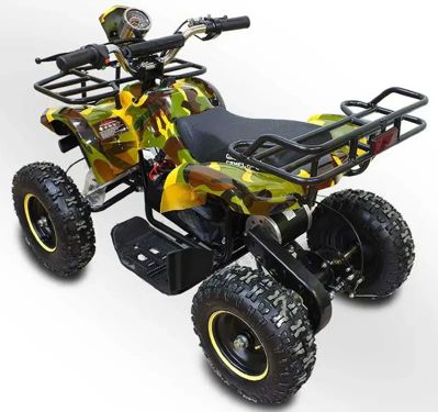 купить Электроквадроцикл GREEN CAMEL Гоби K21 в Москве - фото 