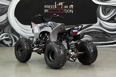 купить Квадроцикл SHARMAX Raizer Race Cup 250 в Москве - фото 