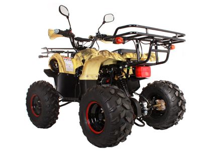 купить Квадроцикл AVANTIS Hunter 8 Lux в Москве - фото 