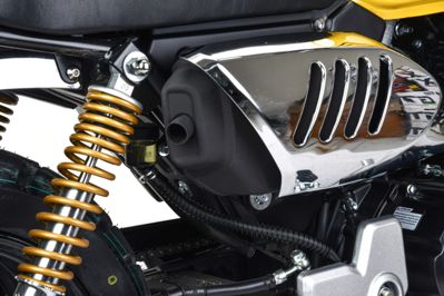 купить Мотоцикл MOTOLAND Monkey 150 PITBIKE в Москве - фото 