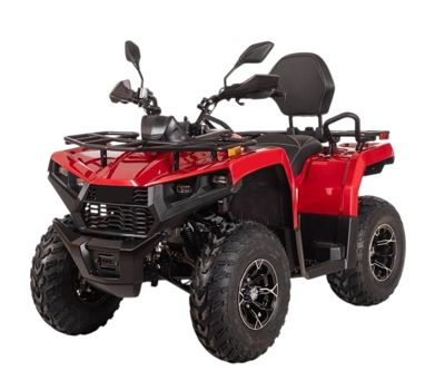купить Квадроцикл BIZON YK250 Lux EFI в Москве - фото 