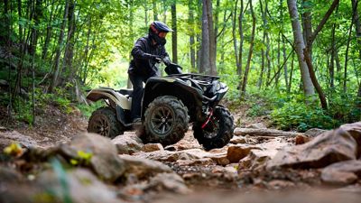 купить Квадроцикл YAMAHA Grizzly 700 EPS SE (ПСМ) в Москве - фото 