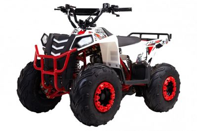 Квадроцикл WELS Thunder EVO M детский в Москве