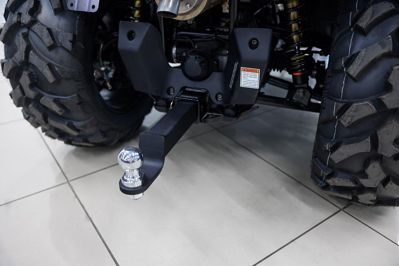 купить Квадроцикл HISUN Guardian 750S Short (ПСМ) в Москве - фото 