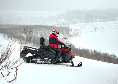 купить Снегоход SHARMAX Ace 900 в Москве - фото 