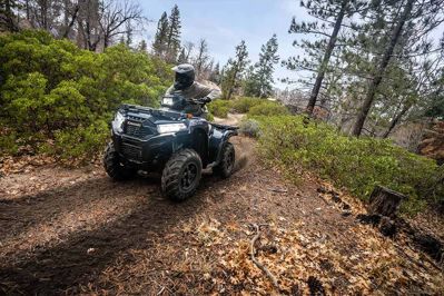 купить Квадроцикл KAWASAKI Brute Force 750 EPS (2024) (ПСМ) в Москве - фото 