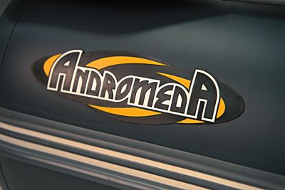 купить Лодка РИБ АНДРОМЕДА RS-305 в Москве - фото 