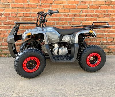 купить Квадроцикл MOWGLI Sharp в Москве - фото 