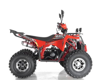 купить Квадроцикл WELS Thunder EVO X в Москве - фото 