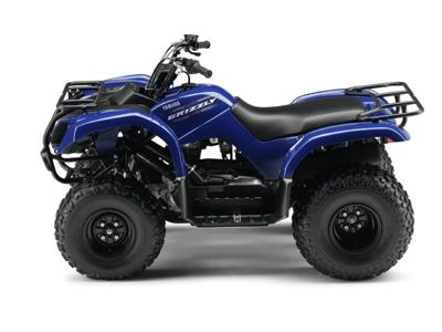 купить Квадроцикл GRIZZLY 125 в Москве - фото 