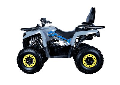 купить Квадроцикл AVANTIS Forester Long 200 Basic в Москве - фото 
