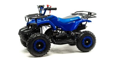 купить Квадроцикл MOTOLAND 50 Scorpion (2021 Г.) в Москве - фото 