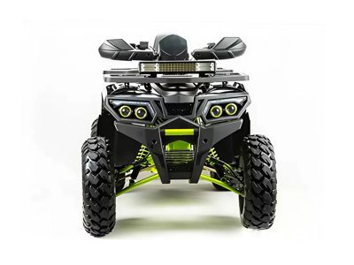 купить Квадроцикл MOTOLAND 200 Wild Track Pro в Москве - фото 
