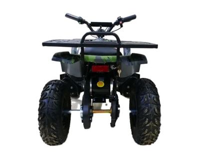 купить Электроквадроцикл MOTAX Grizlik X16 New E1000 в Москве - фото 