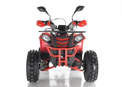 купить Квадроцикл WELS Thunder EVO X в Москве - фото 