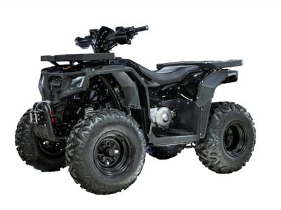 купить Квадроцикл ПРОГАСИ Race Jumper 200 Max Power в Москве - фото 