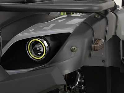 купить Квадроцикл GRIZZLY 200 Premium в Москве - фото 