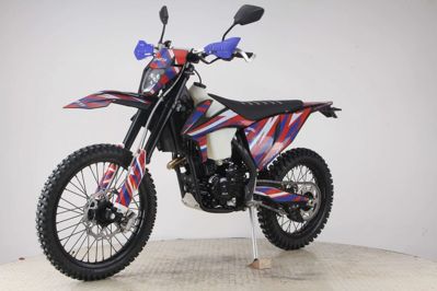 купить Мотоцикл кроссовый эндуро ROLIZ Sport-009 в Москве - фото 