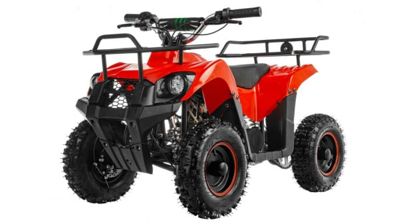 Квадроцикл TIGER Mini 49 (2024) в Москве