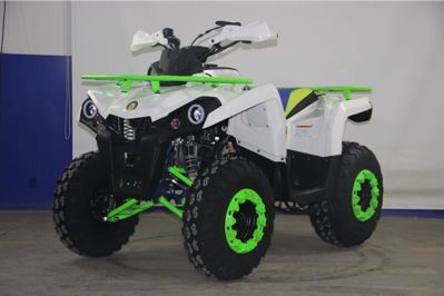 купить Квадроцикл AVANTIS Forester 200 Premium в Москве - фото 