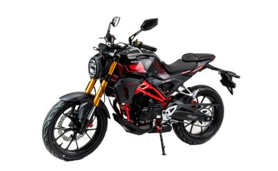 купить Мотоцикл MOTOLAND 501 (172FMM-5/PR250) ТУРЭНДУРО в Москве - фото 