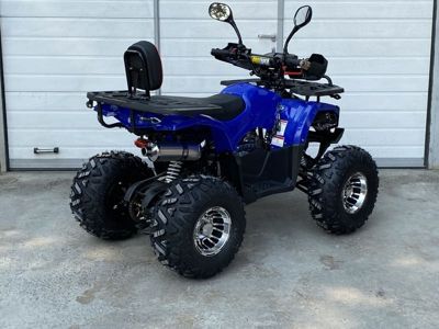 купить Квадроцикл GRIZZLY Aerox 125cc New 2022 в Москве - фото 