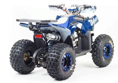 купить Квадроцикл MOTOLAND 125 Coyote (2021 Г.) в Москве - фото 